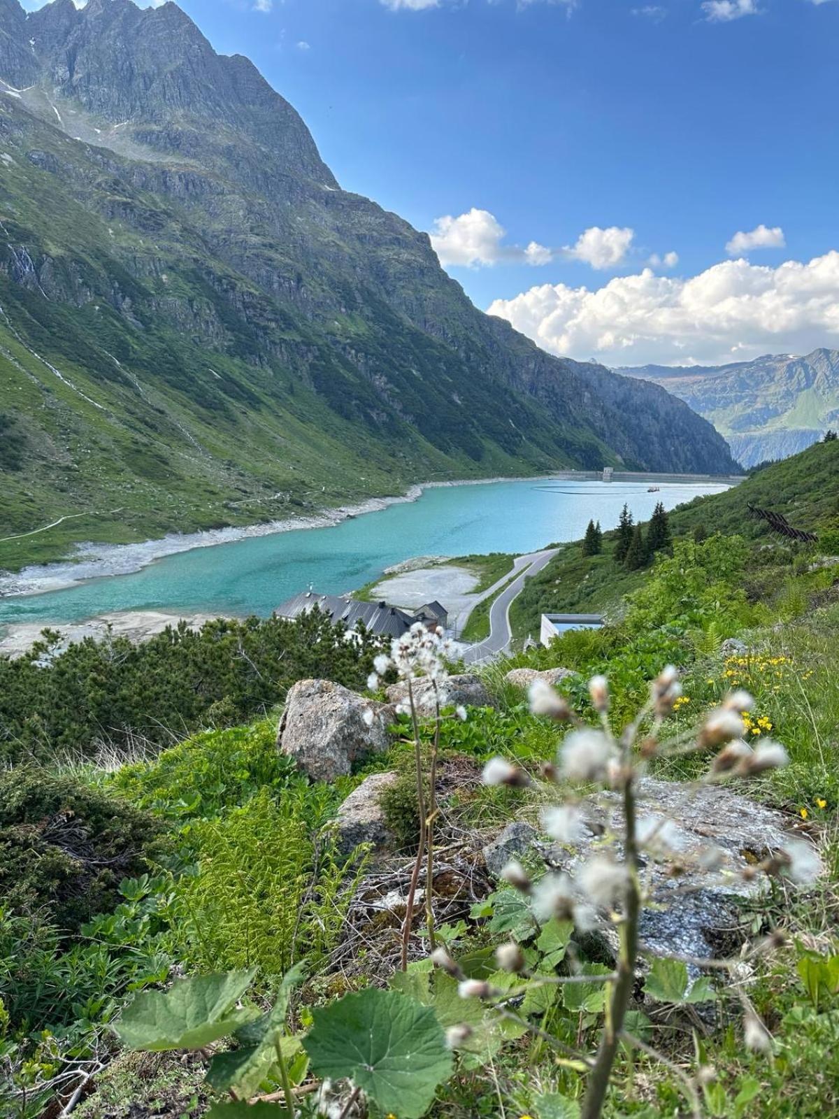 Apart Alpenpension Maderer ガシュルン エクステリア 写真