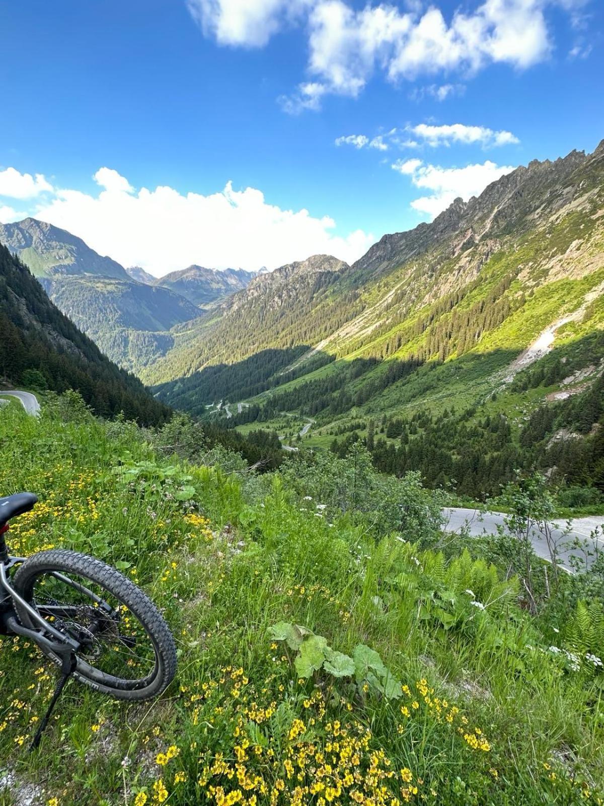 Apart Alpenpension Maderer ガシュルン エクステリア 写真